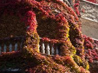 Autumn colors  Beautiful hotel at Bled, Slovenia