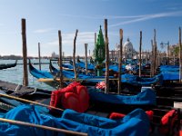 IMG 9251  Gondolas