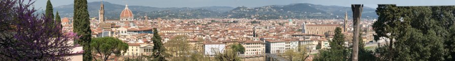 DSC01085-340-Edit
